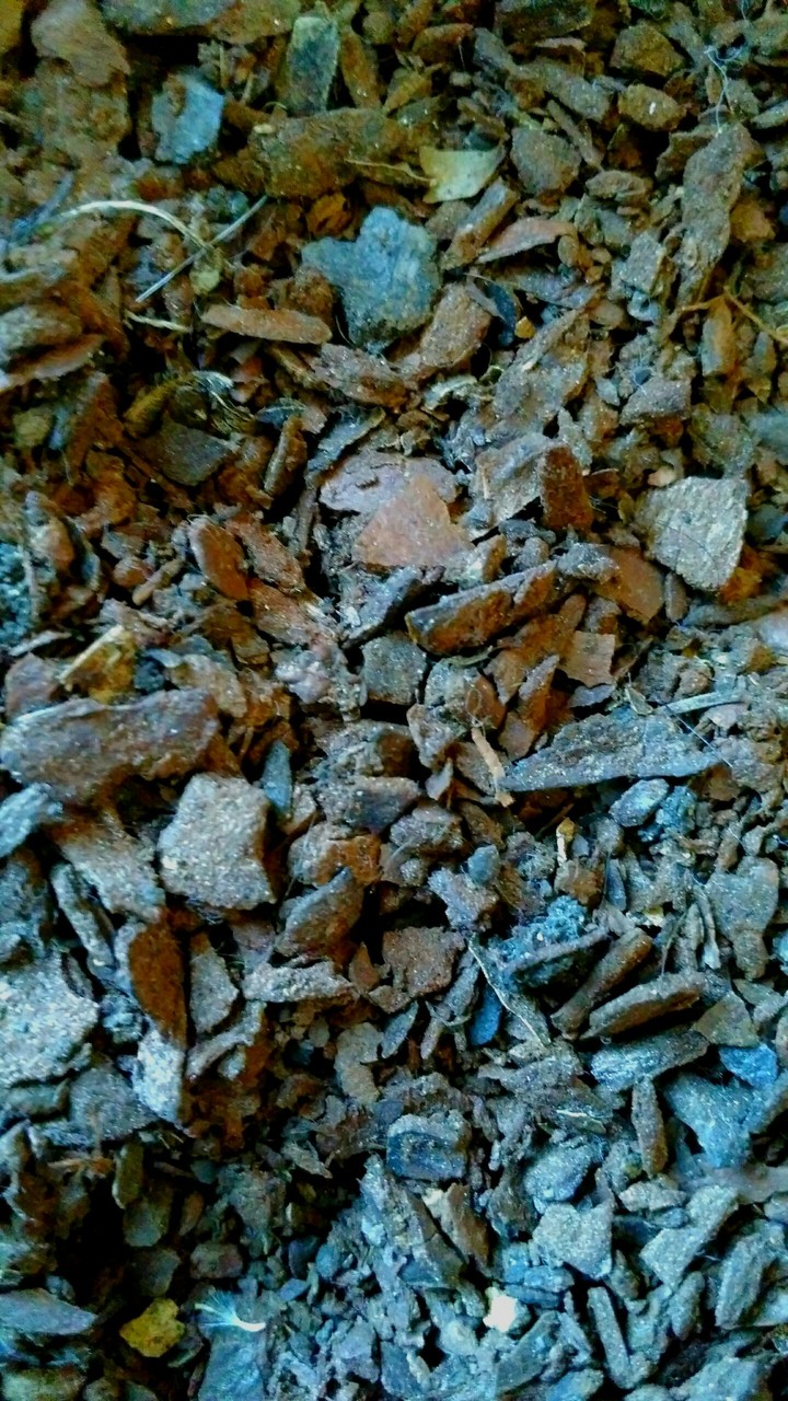 ground