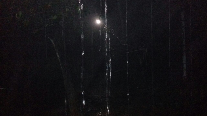 night rainy moon