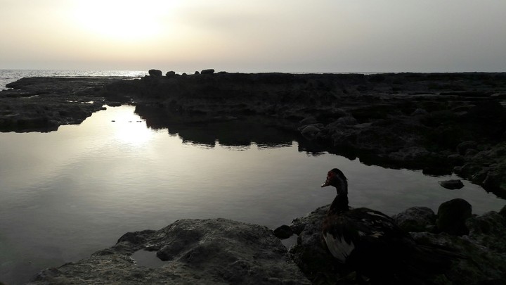 beach sunset