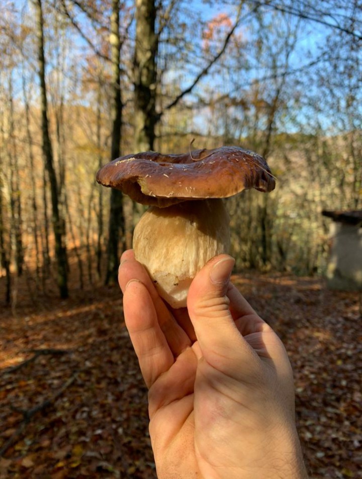 Autumn