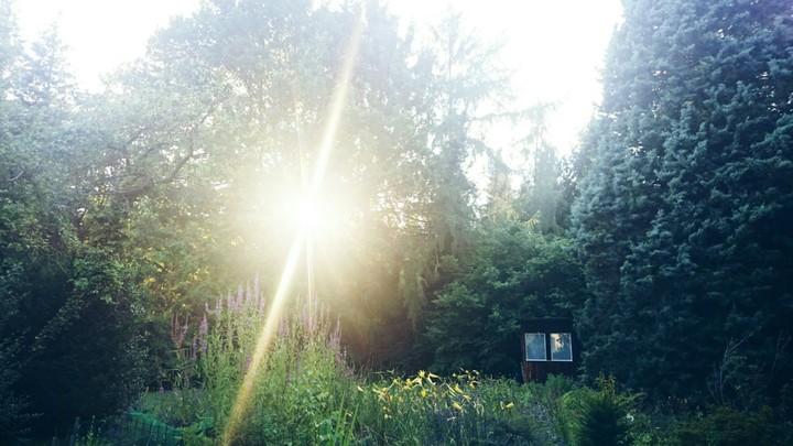 Sun