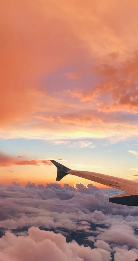 flight