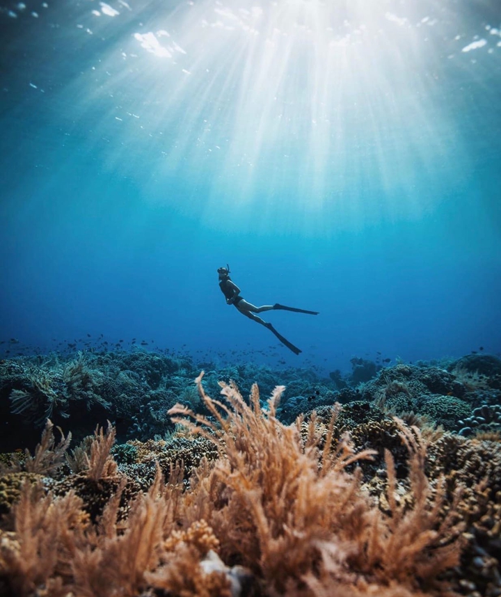 underwater