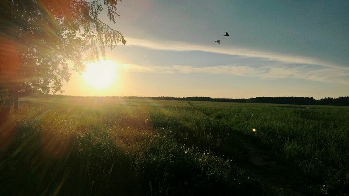 Прекрасный закат