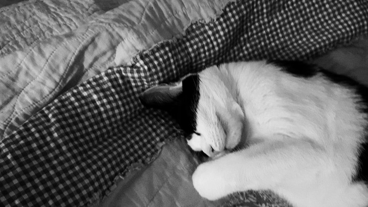 Sweet dream