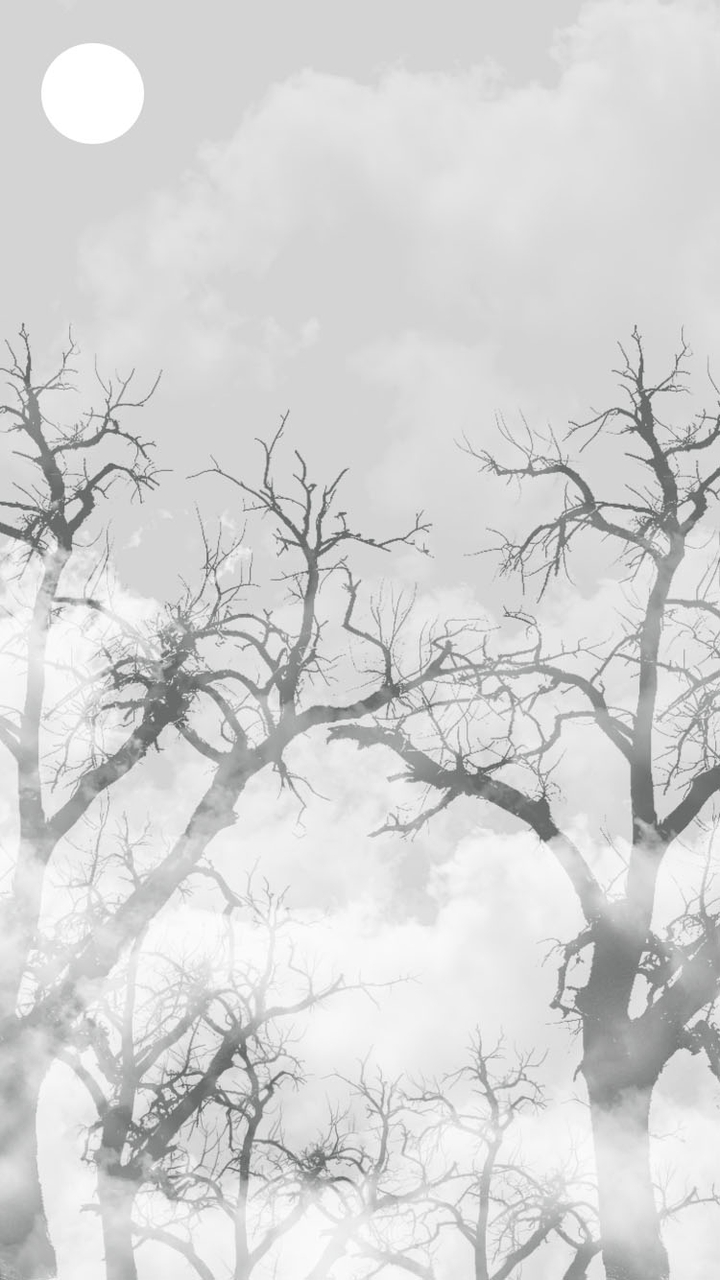 Forest Moon