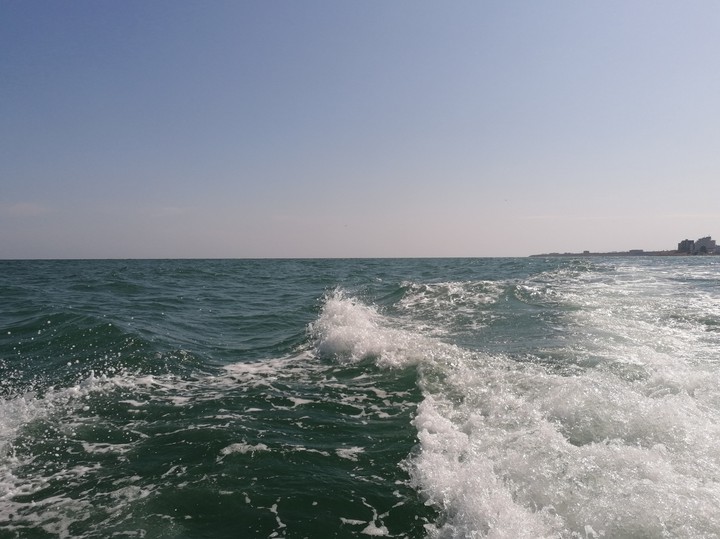 The Black Sea