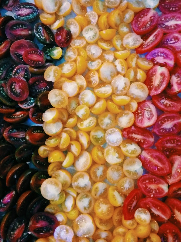 Tomatoes