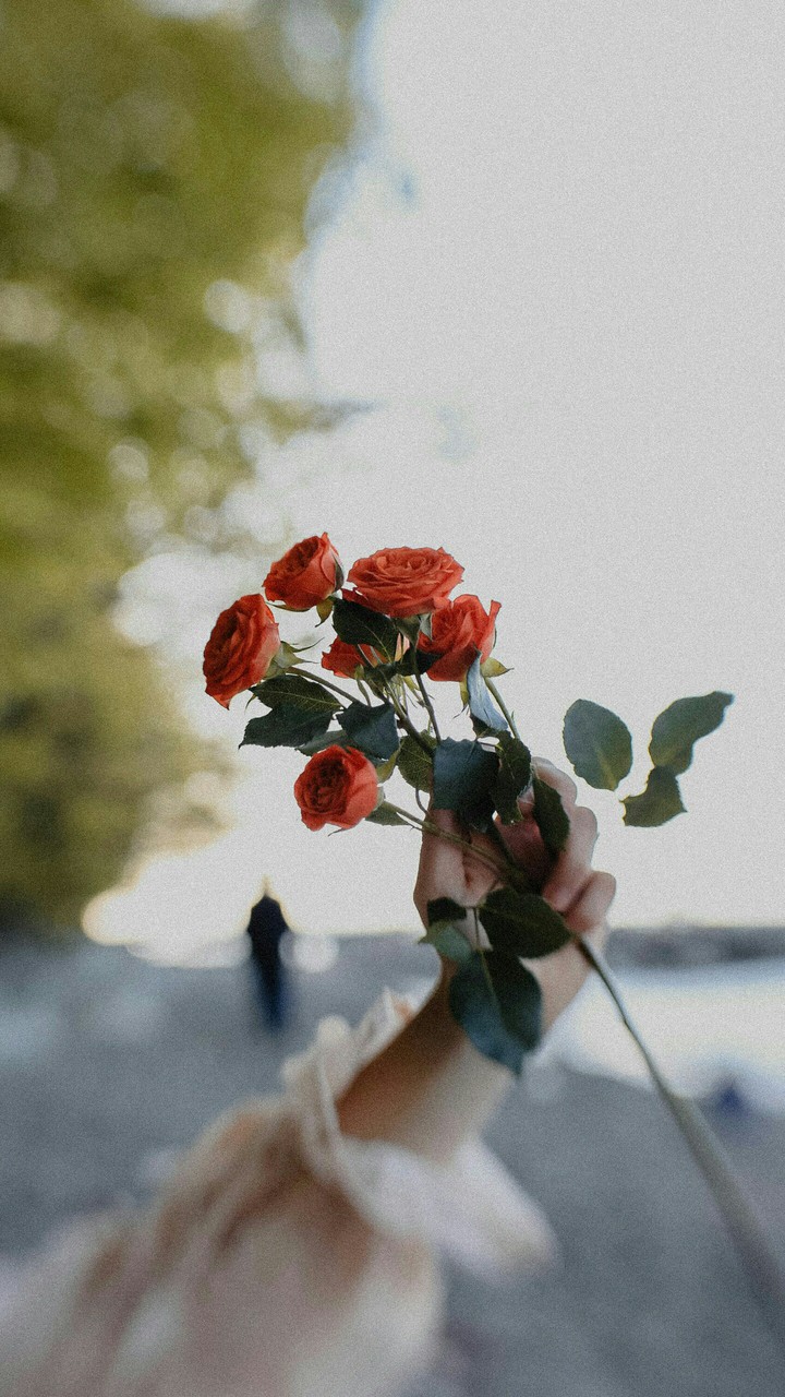 For You, With Love ❤