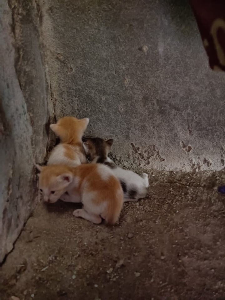 .