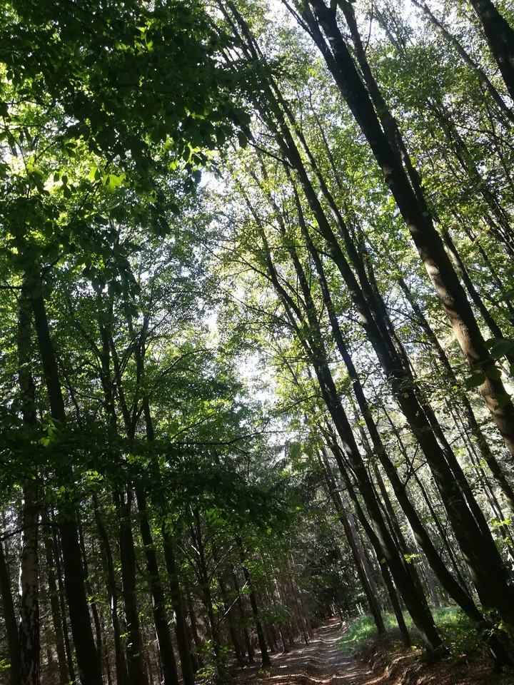 path of hope