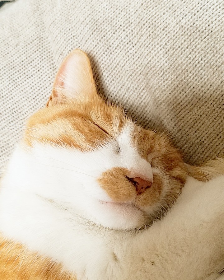 寝顔