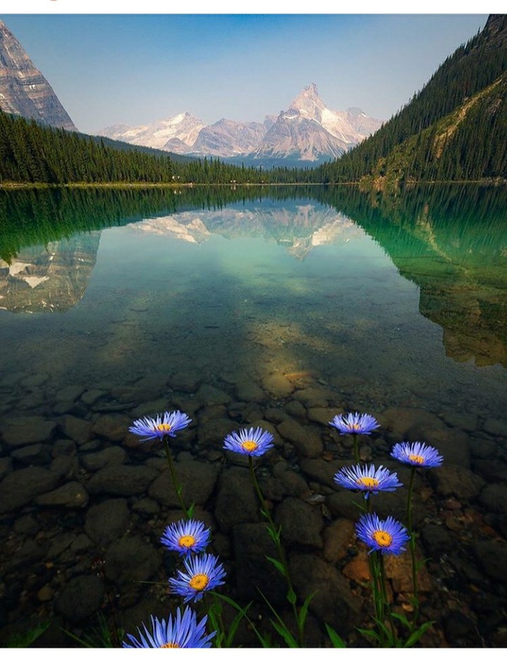 Lake