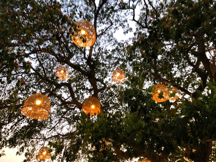 Light
