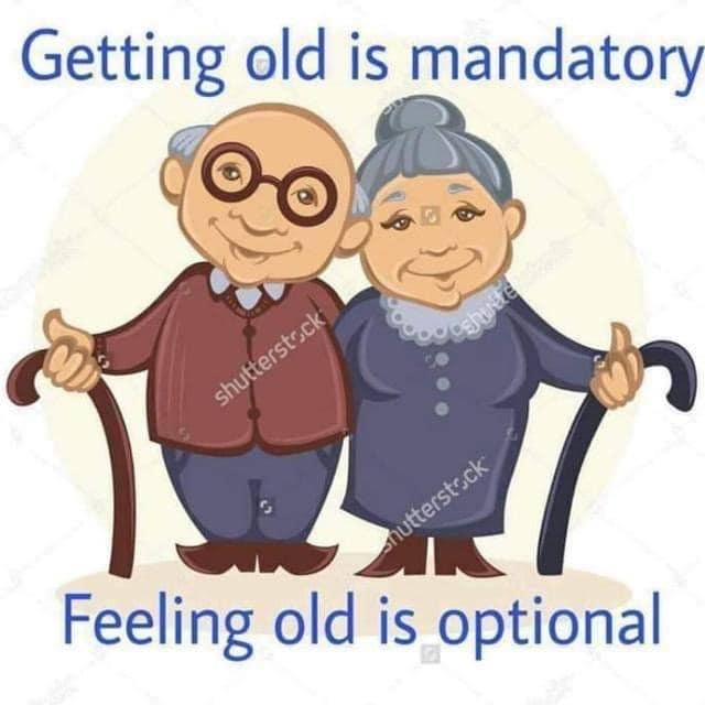 True