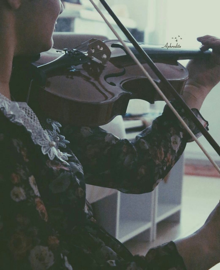 Violin