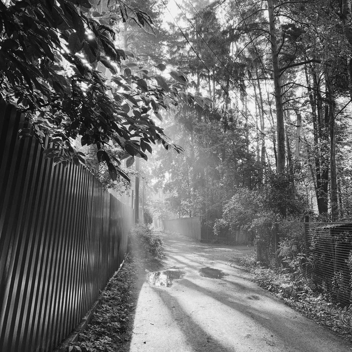 Early morning