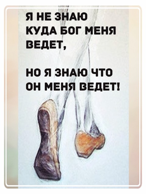 Он ведет меня!