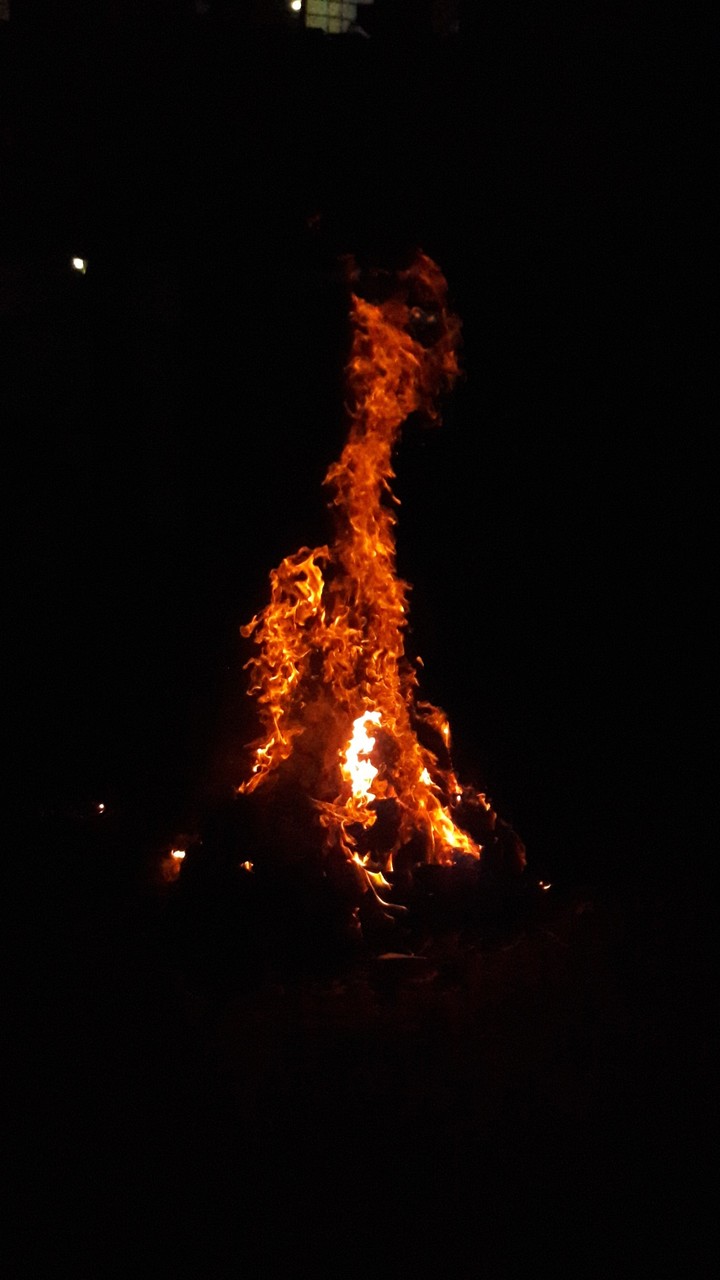 holi fire