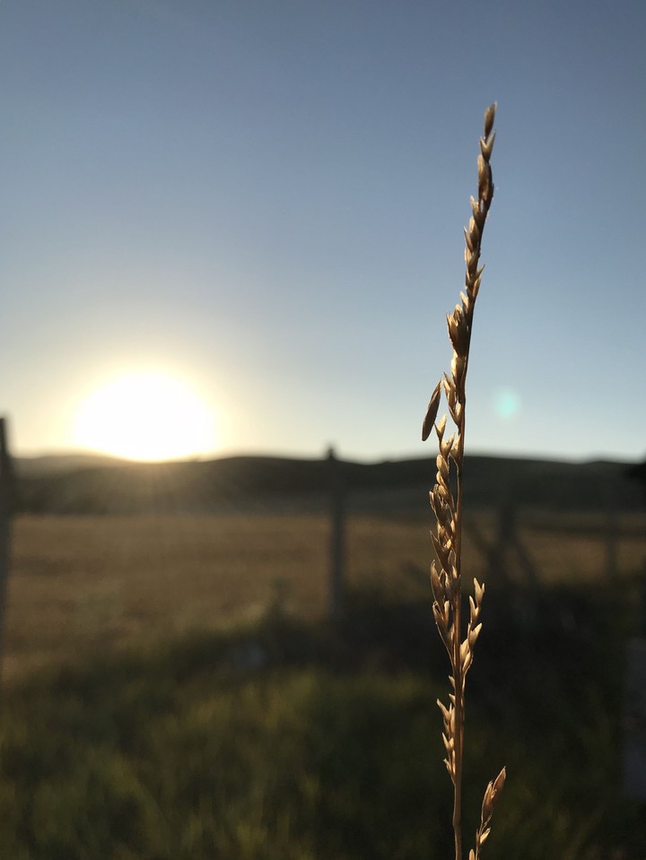 Sunshine All Over