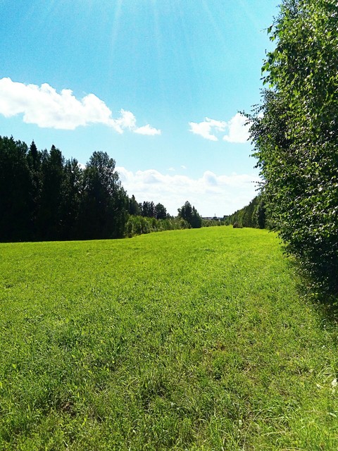 Summertime