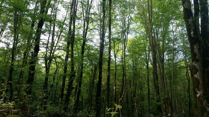 baghu kordkooy golestan iran