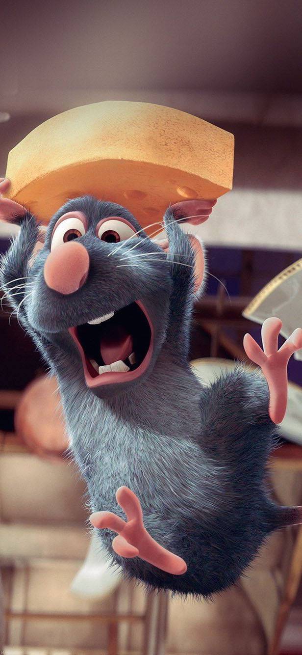 rat