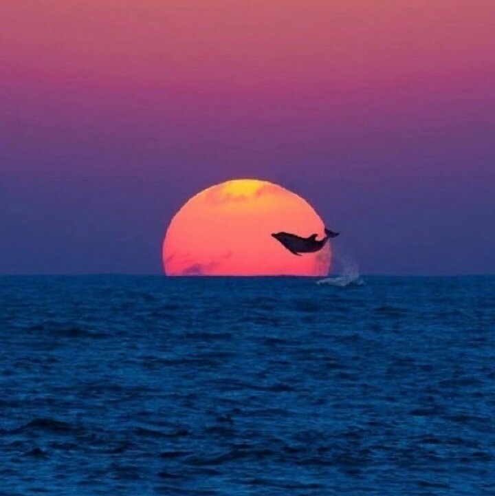 coucher de soleil⭐⭐⭐