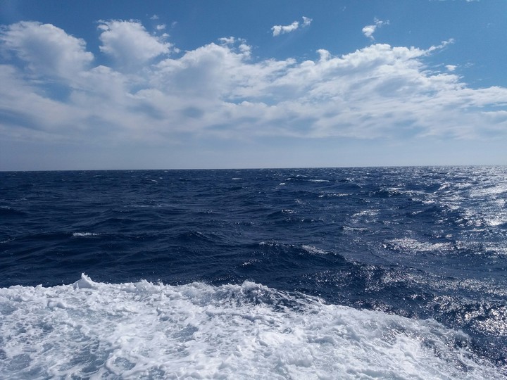 The sea of blue