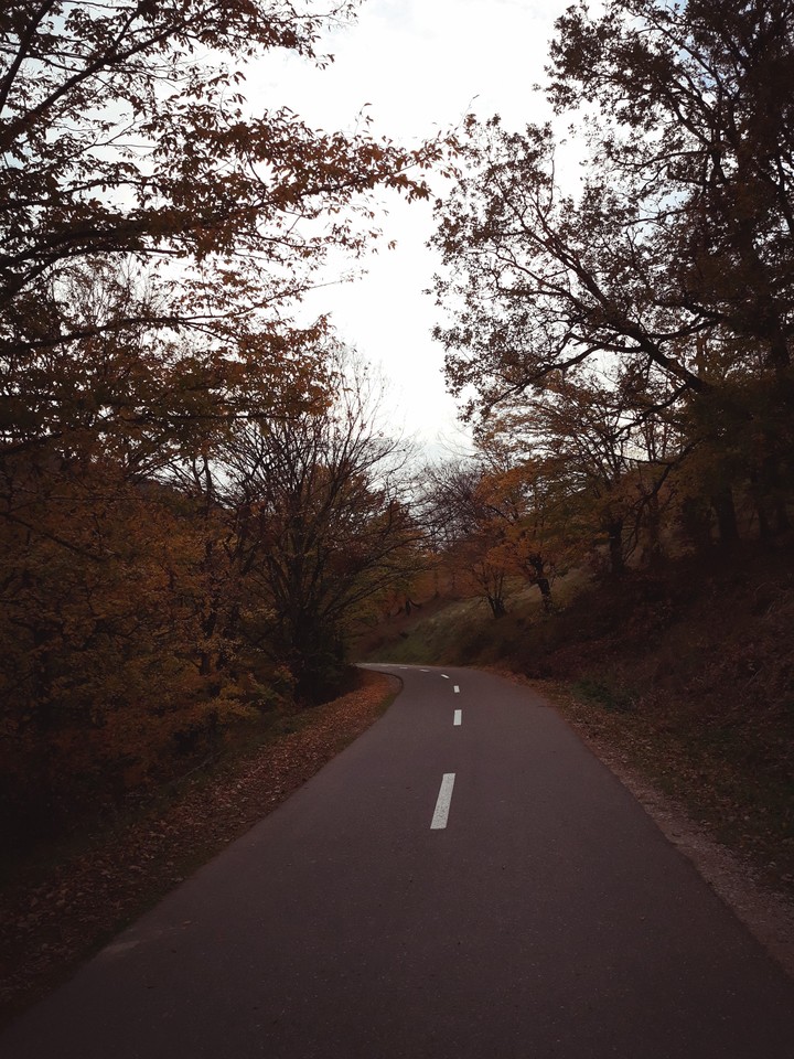 Autumn