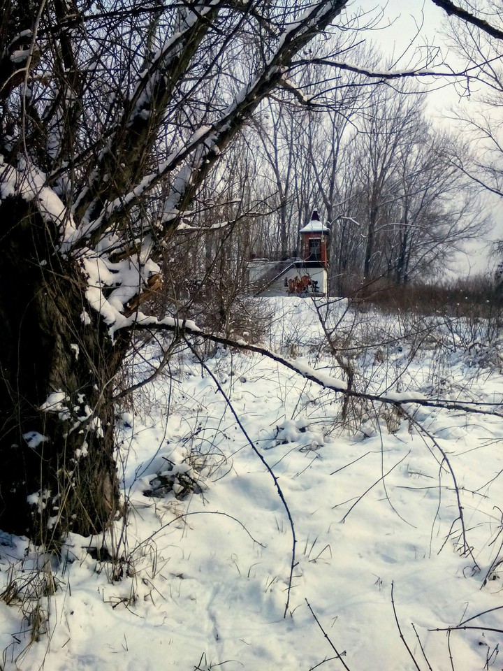 zima