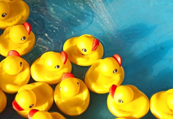 Enten