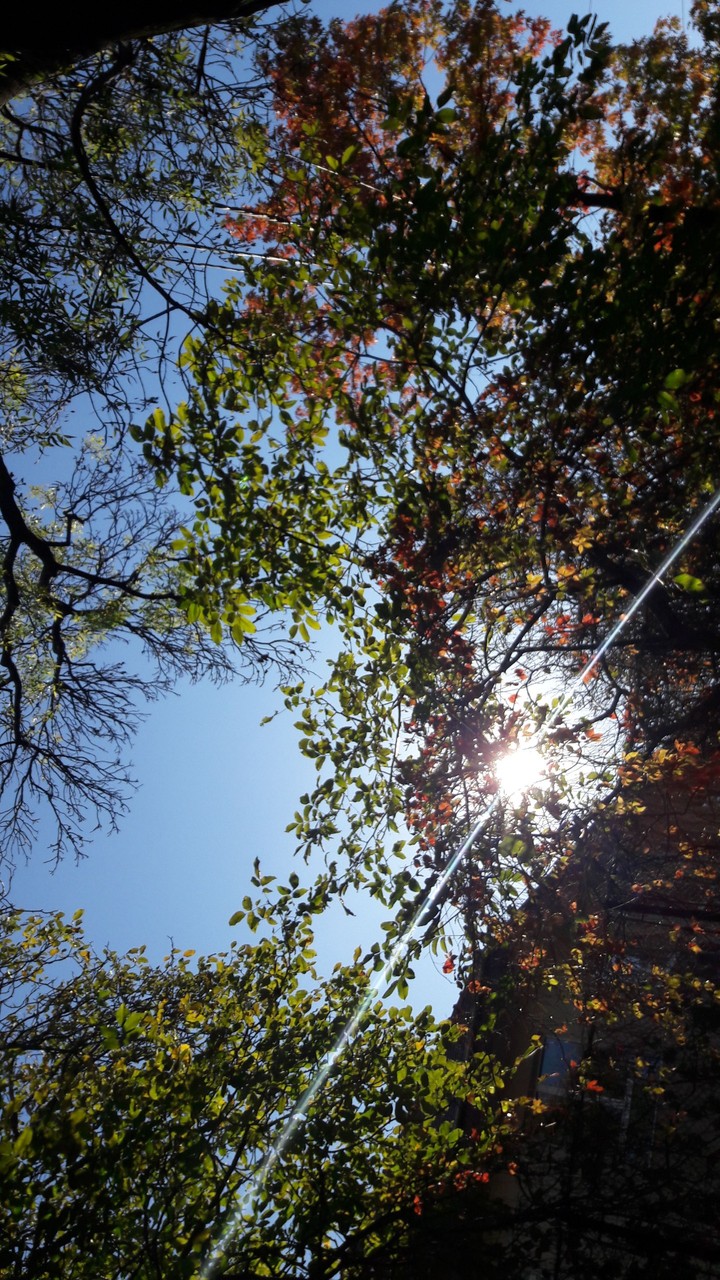 Autum