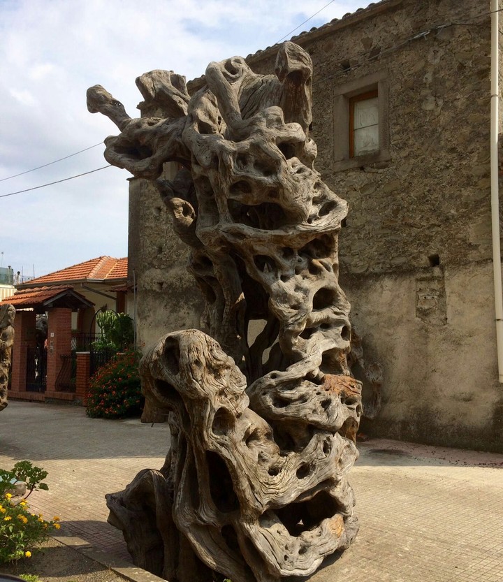 strange tree
