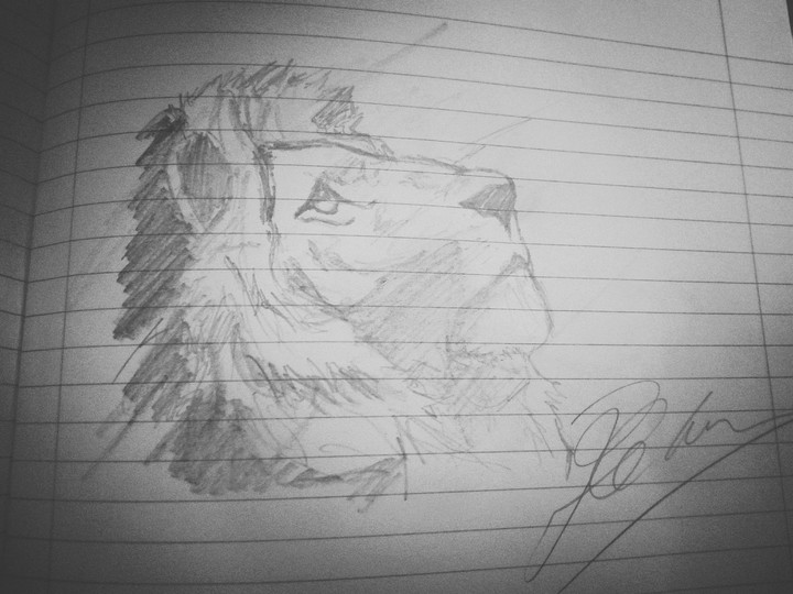 The Lion