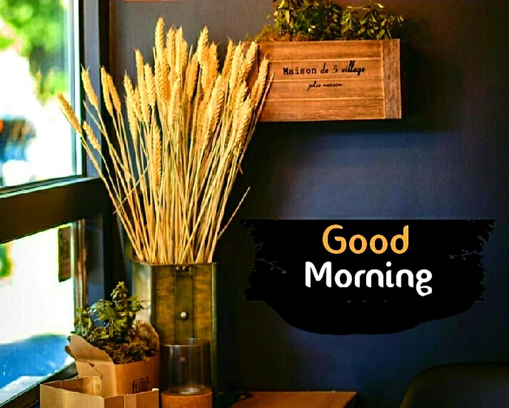 Good morning