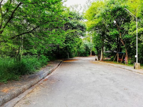 road