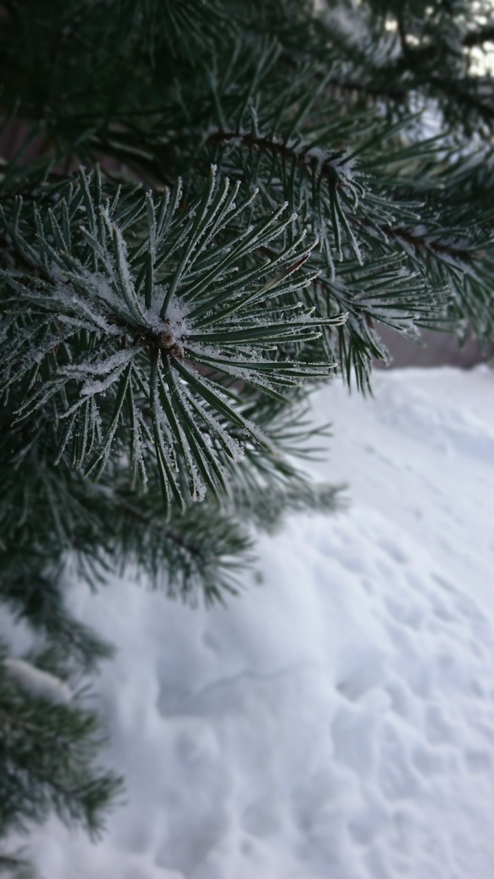 winter