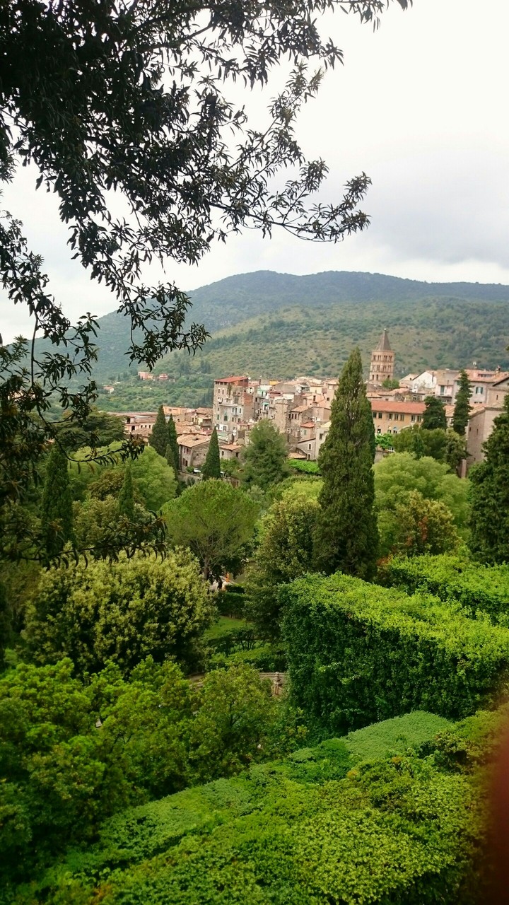 STAMATIOS IN TIVOLI