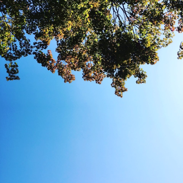 sky
