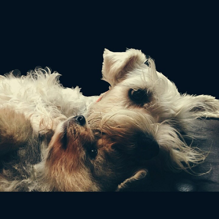 love