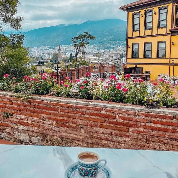 bursa