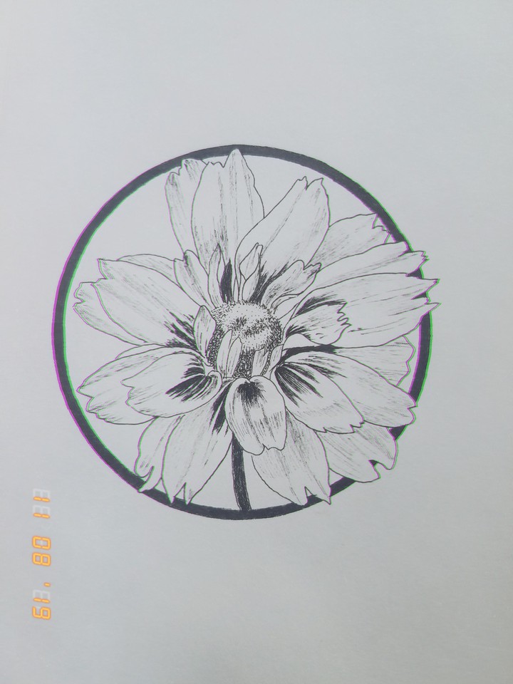 flower in a circle○