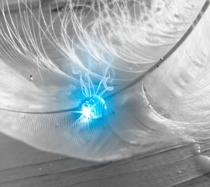 magic feather