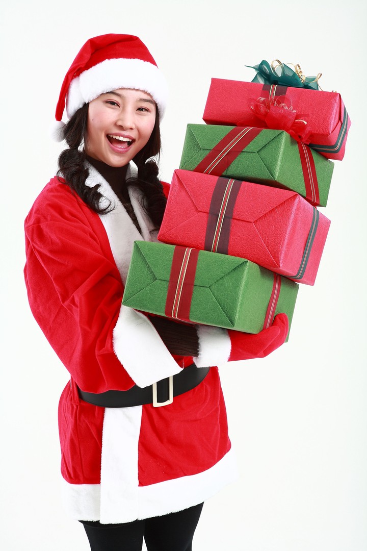 Christmas Costume