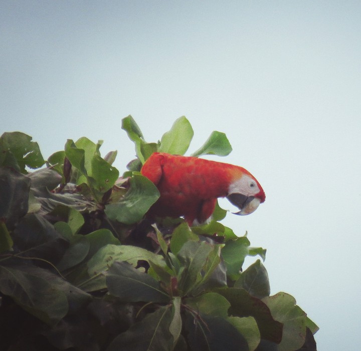 Naturaleza