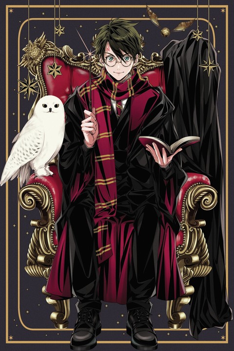 HARRY POTTER