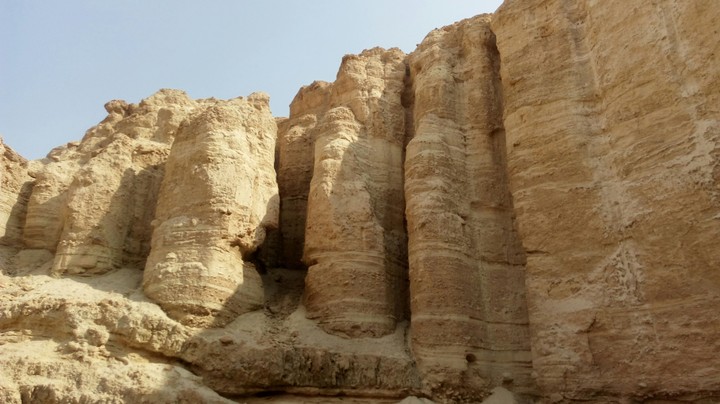Negev israel
