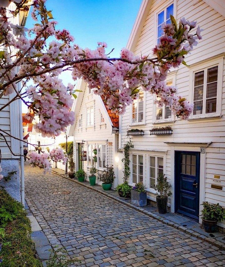 Spring