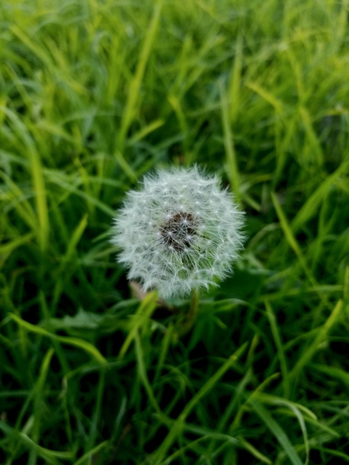?